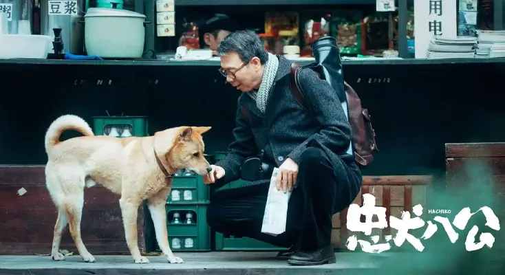 在海外怎么用今日新鲜事图解